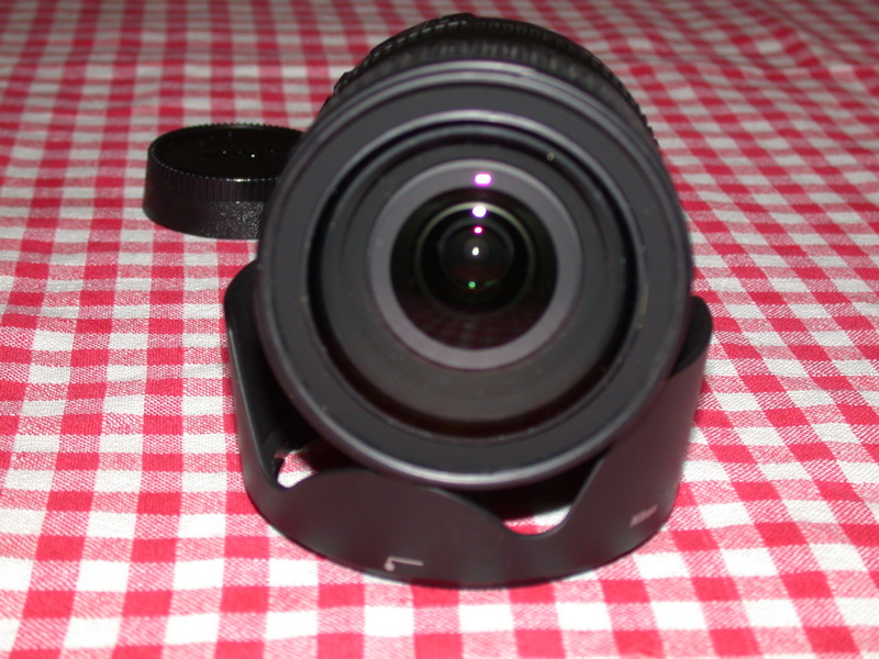 DSCN1452.jpg