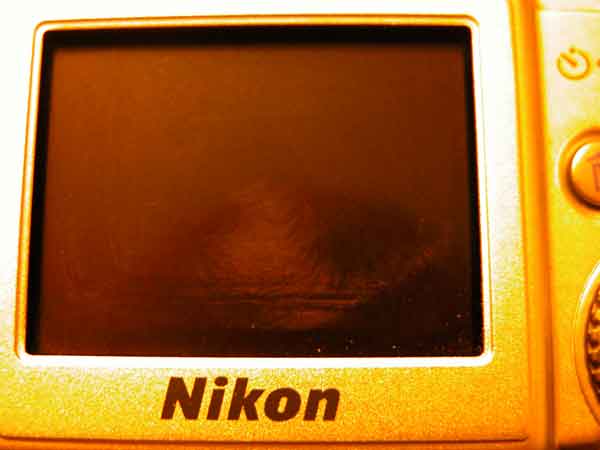 DSCN1488.jpg