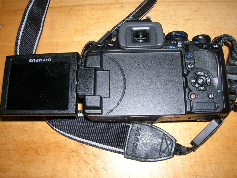 DSCN1579.JPG