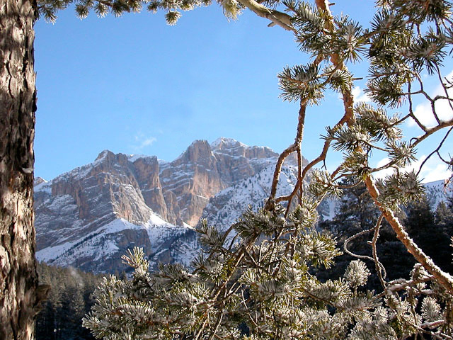 DSCN1609.jpg