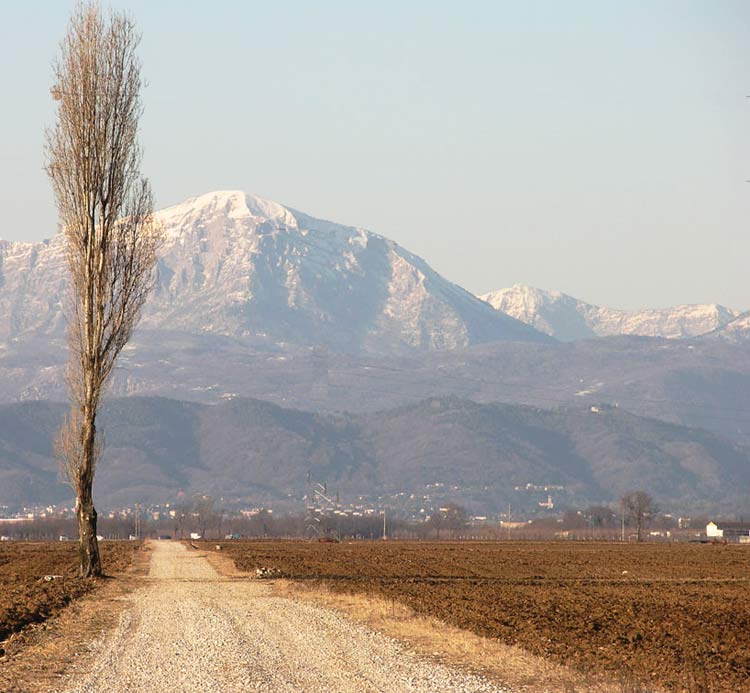 DSCN1646.jpg