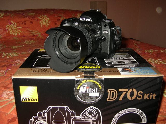 DSCN1668.jpg