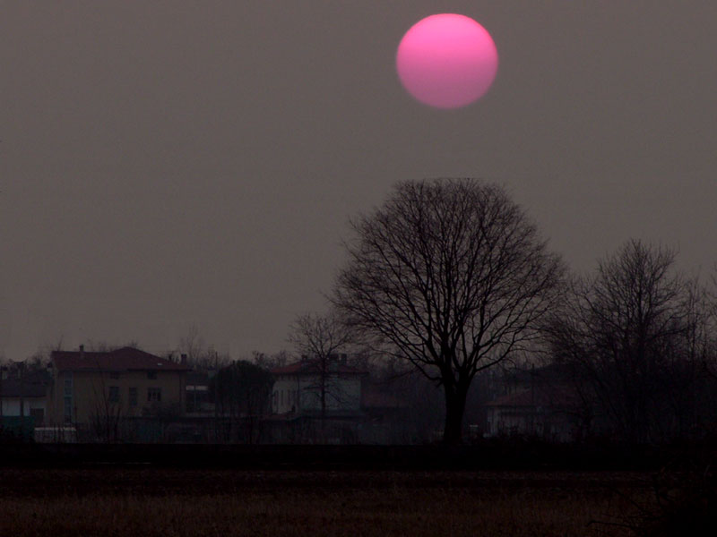 DSCN1769.jpg