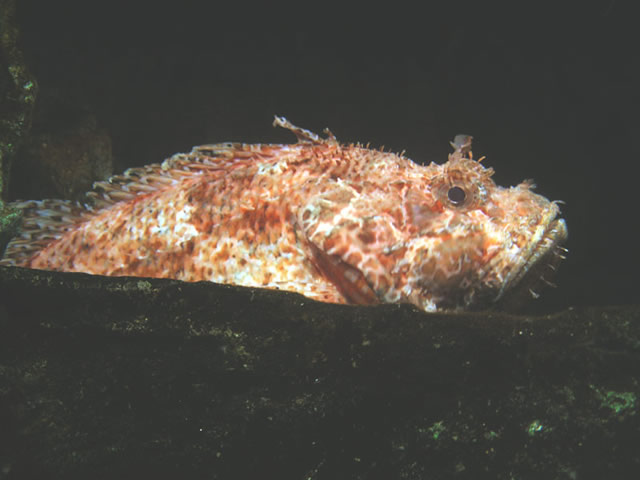 DSCN2164.jpg