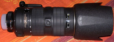 DSCN2191 bassissima risol.jpg