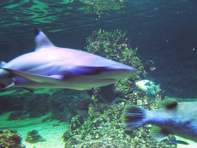 DSCN2215.jpg