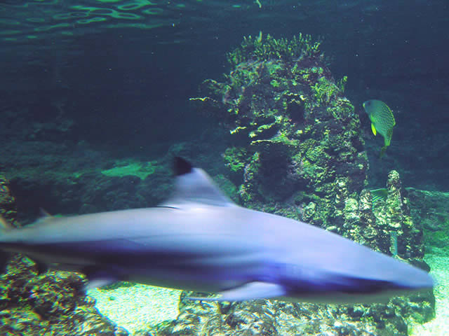 DSCN2216.jpg