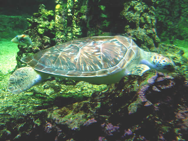 DSCN2218.jpg