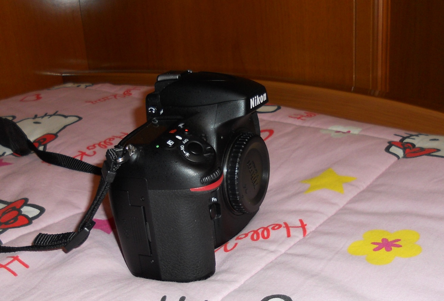 DSCN2221X.JPG