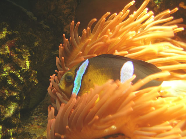 DSCN2233.jpg