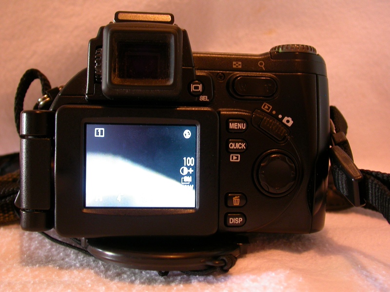 DSCN2253.JPG