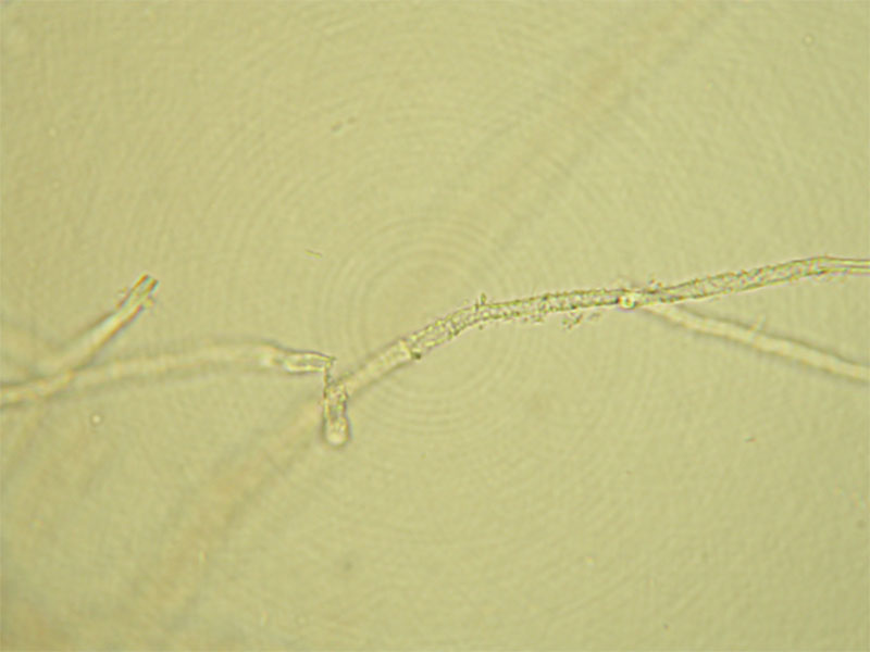 DSCN2405.jpg