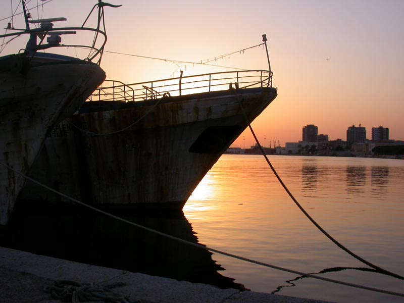 DSCN2489.JPG