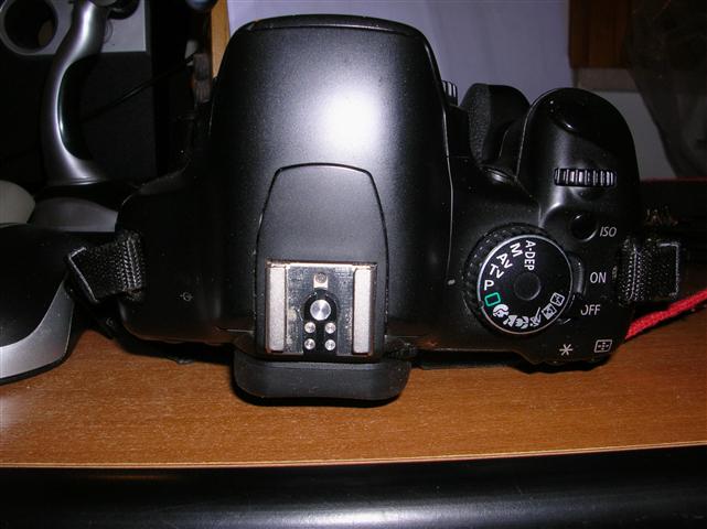 DSCN2533 (Small).JPG