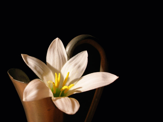 DSCN2534.jpg