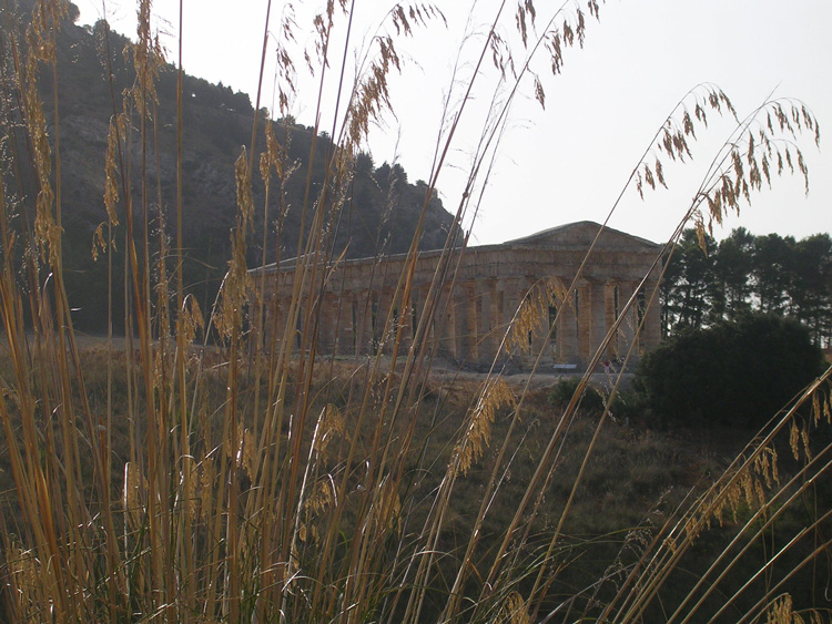 DSCN2911.jpg