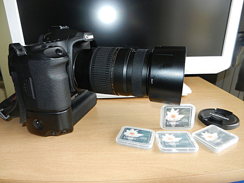 DSCN3136.JPG