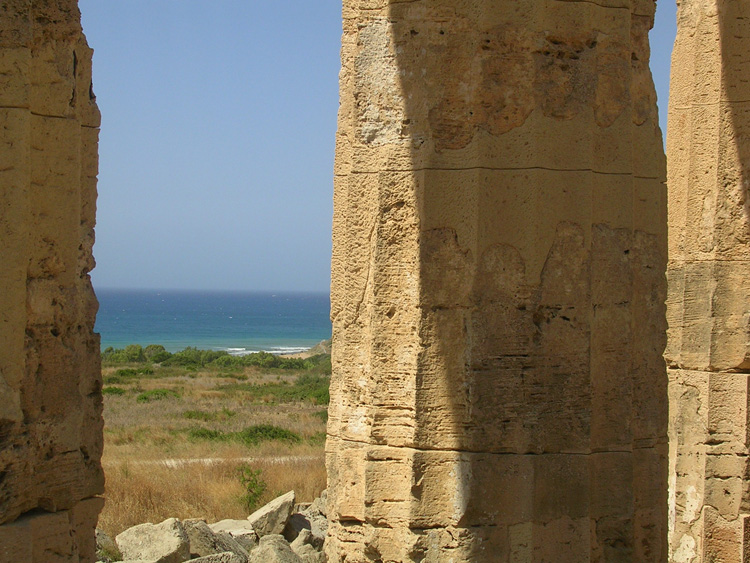 DSCN3172.jpg
