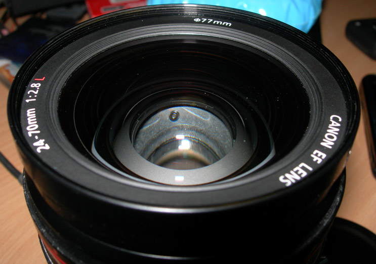 DSCN3777.jpg