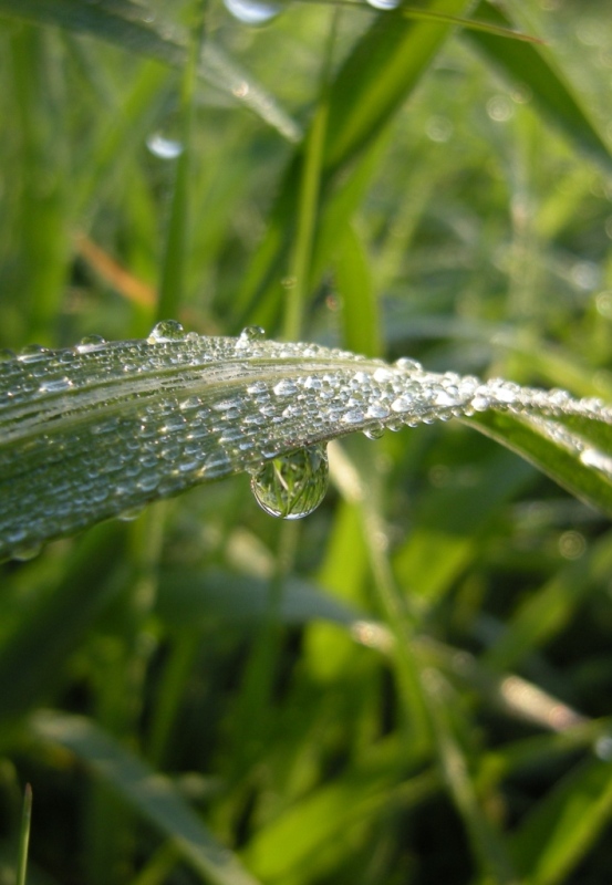 DSCN4086.JPG