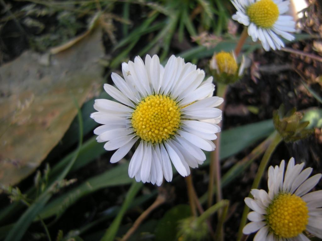 DSCN4173.JPG