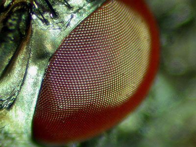 DSCN41921.4F4.2.jpg