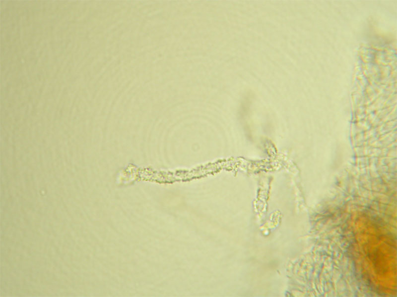 DSCN4379.jpg