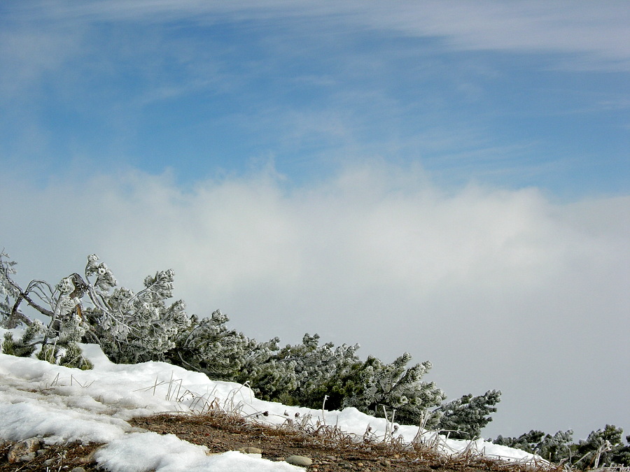 DSCN4402_01.jpg