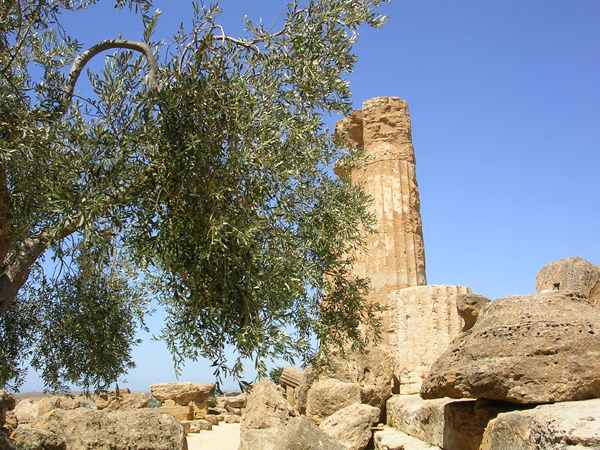 DSCN4553.jpg