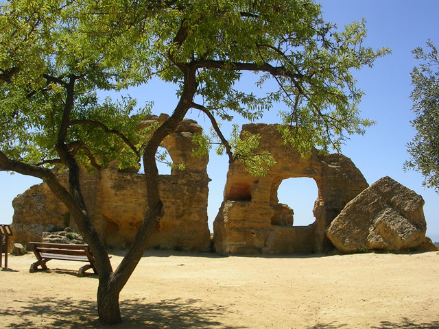 DSCN4566.jpg