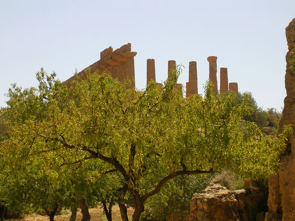 DSCN4568.jpg