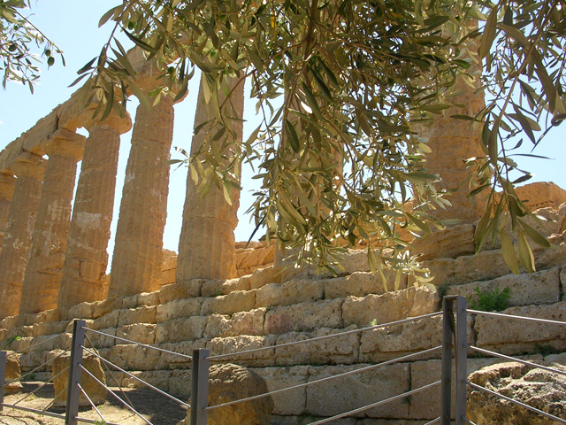 DSCN4574.jpg