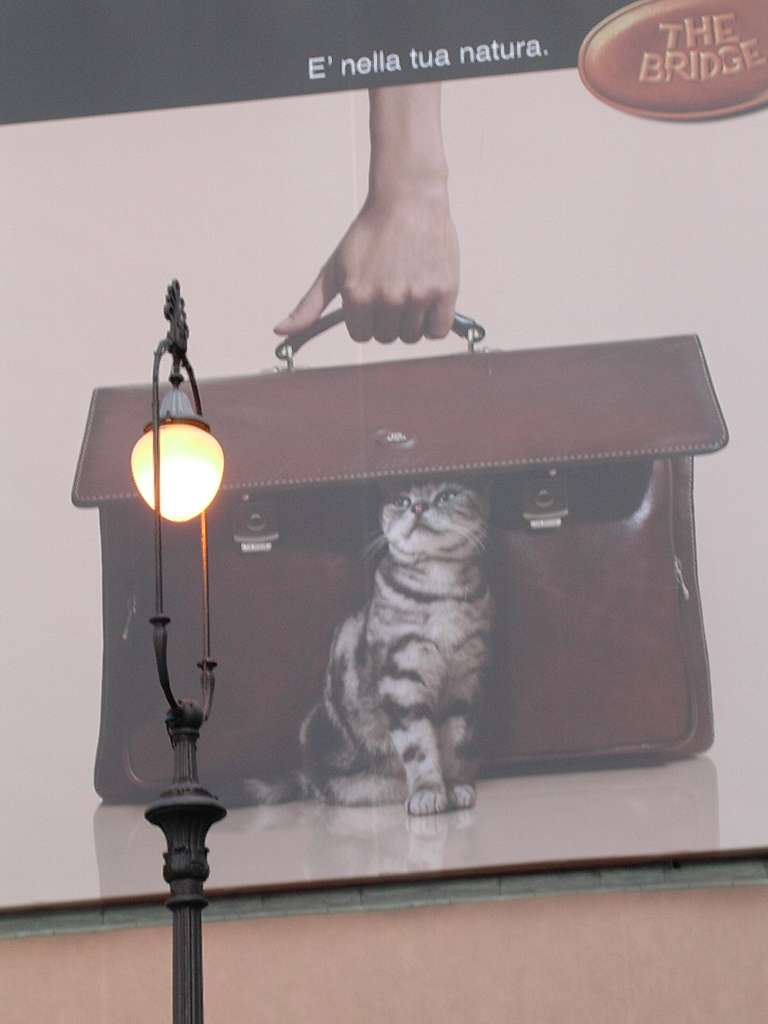 DSCN4583.JPG