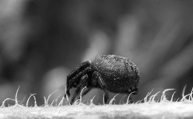 DSCN4900c-1.125-f7.jpg