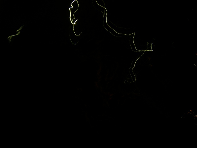 DSCN5050.jpg