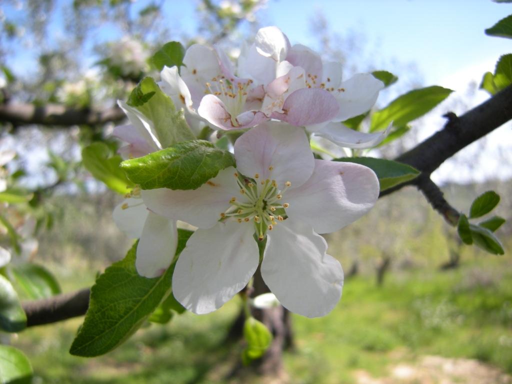 DSCN5108.jpg