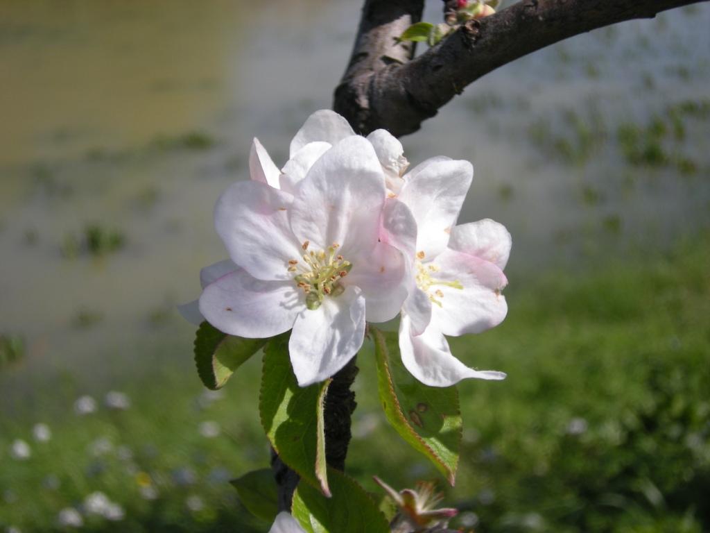 DSCN5189.jpg