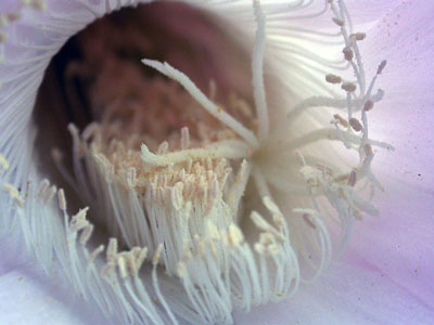DSCN5329-1.125-f3.8.jpg