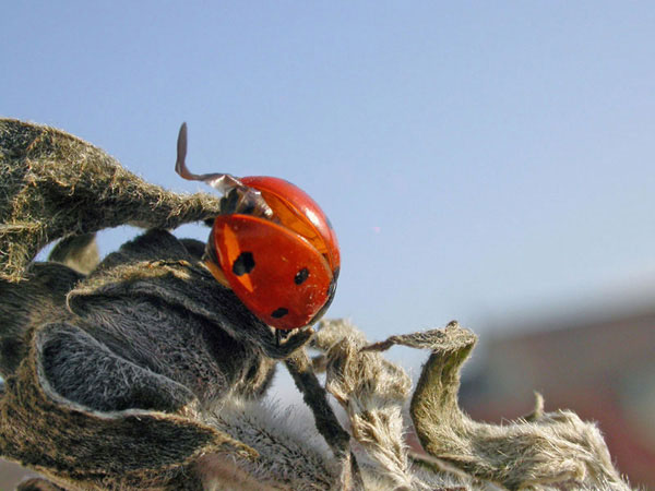 DSCN6594c-1.250-f7.5.jpg