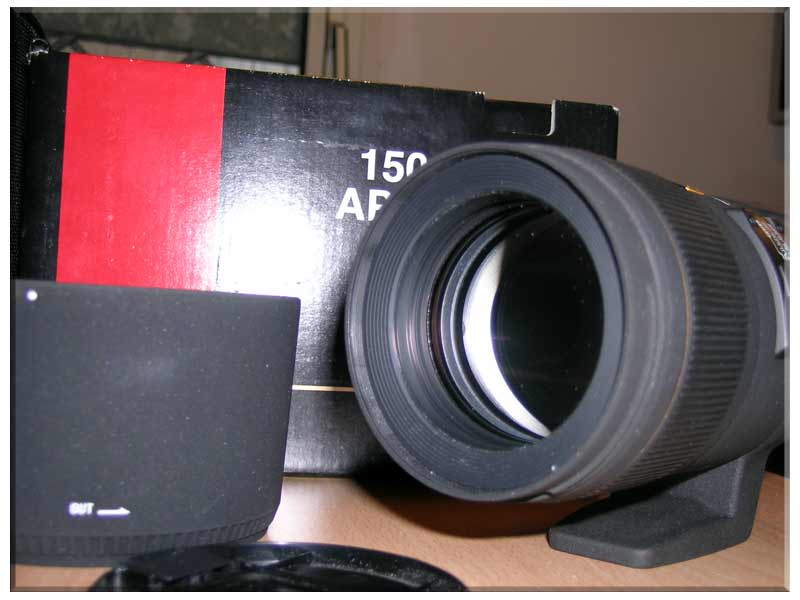 DSCN6778.jpg