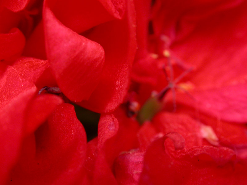 DSCN7183.jpg