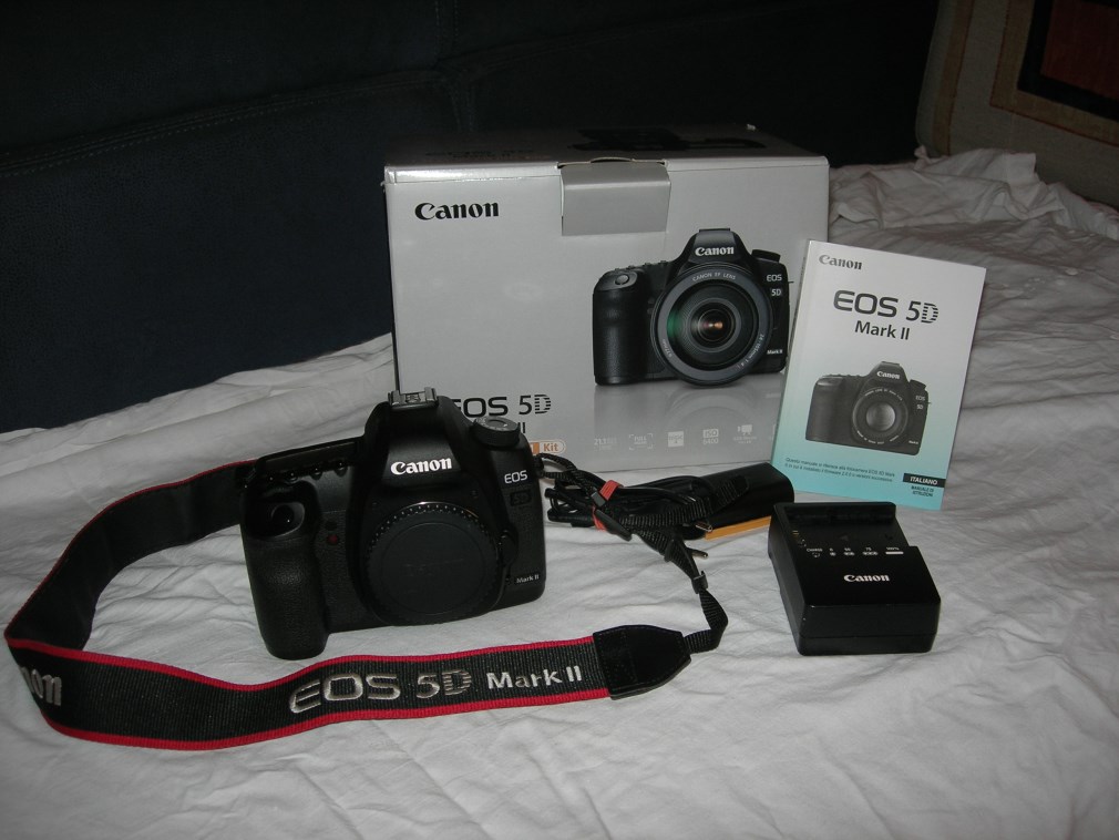 DSCN7306.jpg
