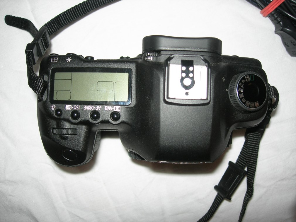 DSCN7310.jpg