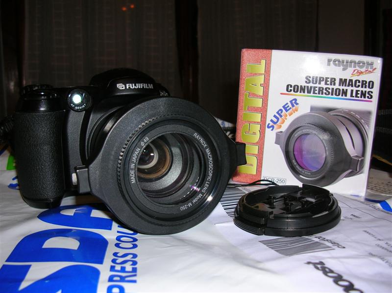 DSCN9054 (Medium).JPG