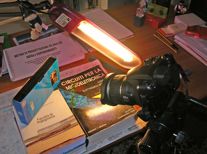 DSCN9056web.jpg