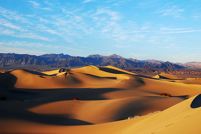 dune3.jpg
