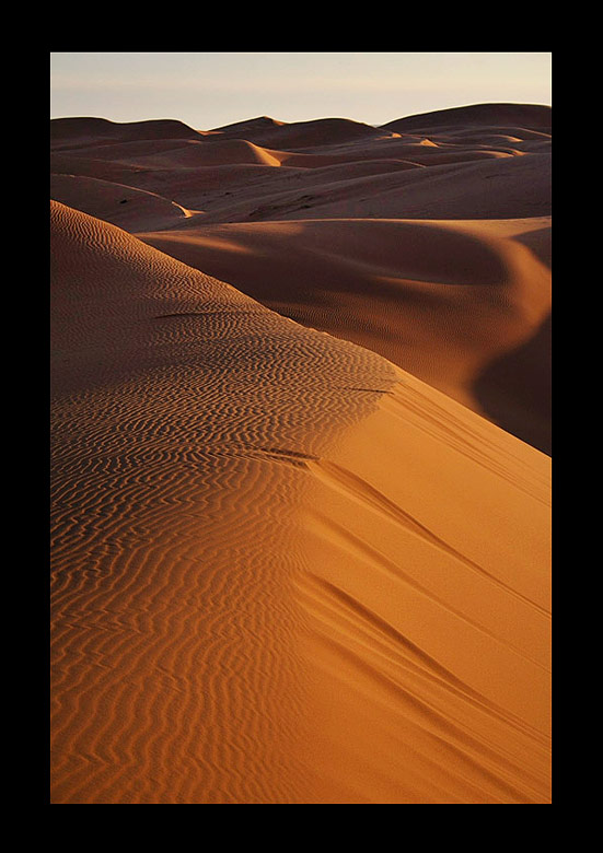 dune.jpg