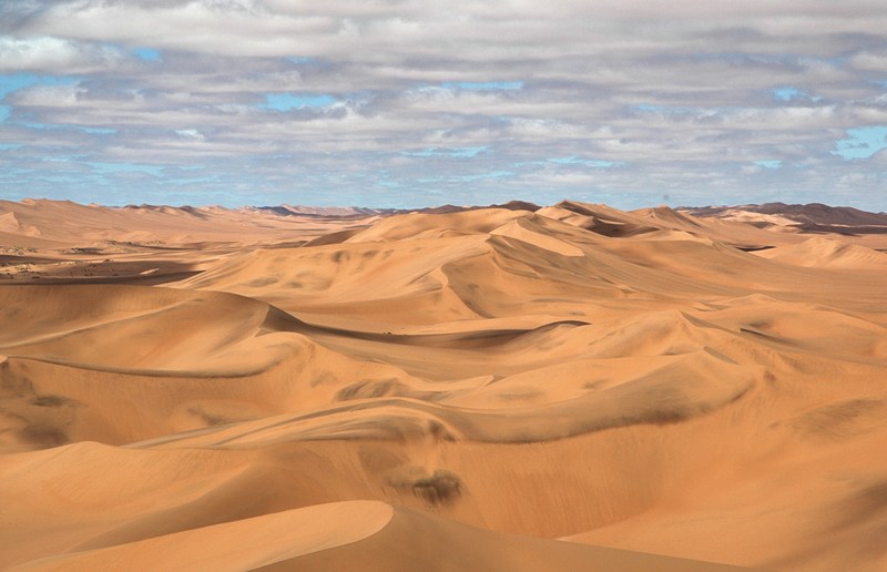 dune (10).JPG