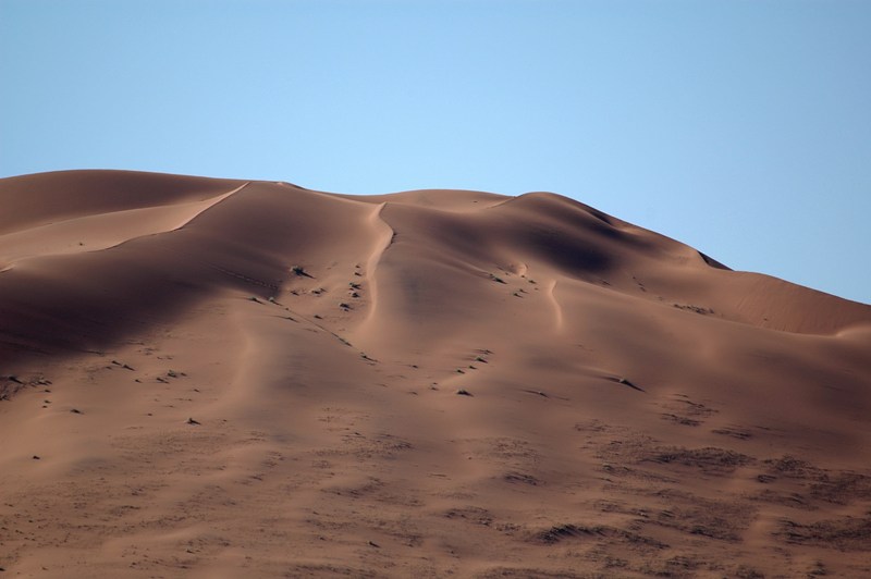dune (3).JPG