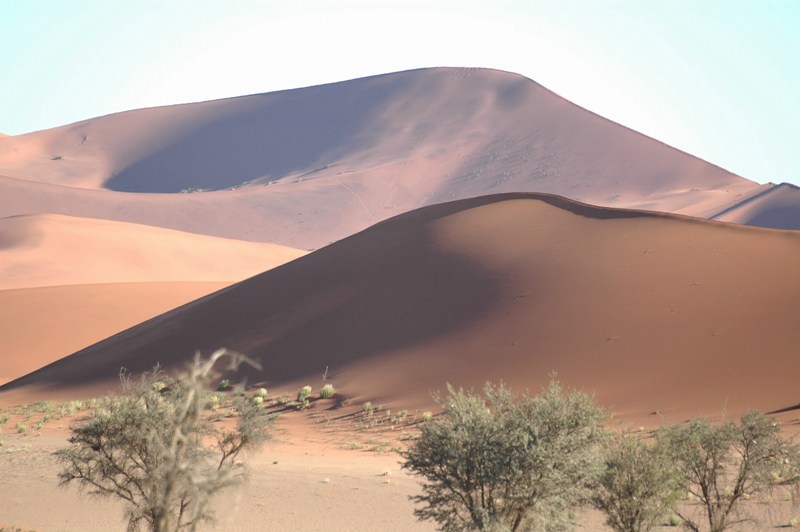 dune (4).JPG